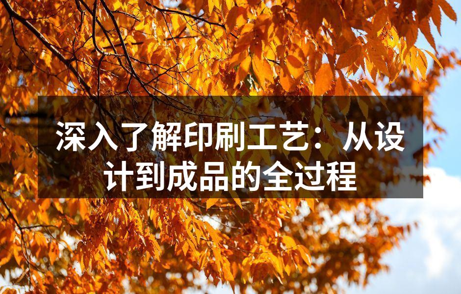印刷工艺流程图示